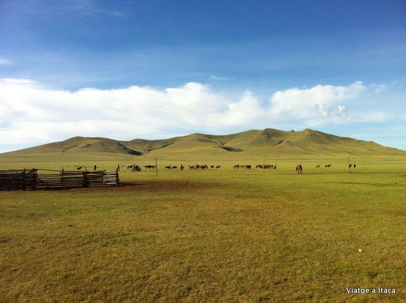 Mongolia10