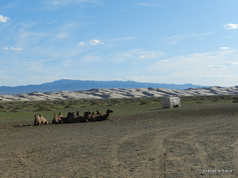 Mongolia5