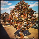 2013-06-15_1371274024