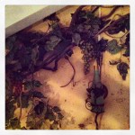 2013-07-13_1373676051