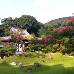 2013-08-15_1376569727