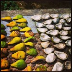 2013-08-30_1377872597