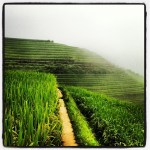 2013-09-03_1378216590