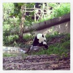 2013-09-13_1379038990