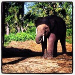 2013-10-12_1381564580