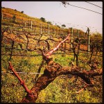 2013-10-23_1382532020