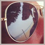 2013-11-08_1383903233