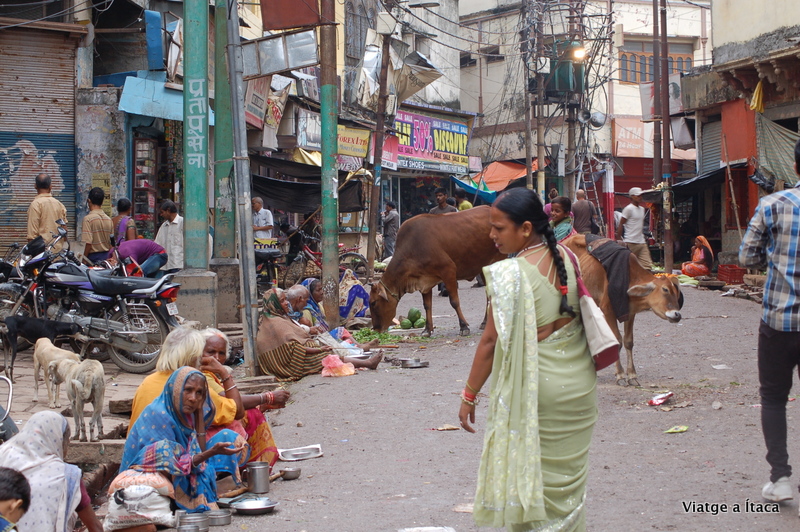 Varanasi5