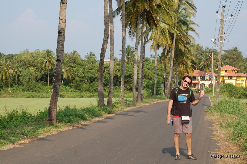 Goa_Benaulim14