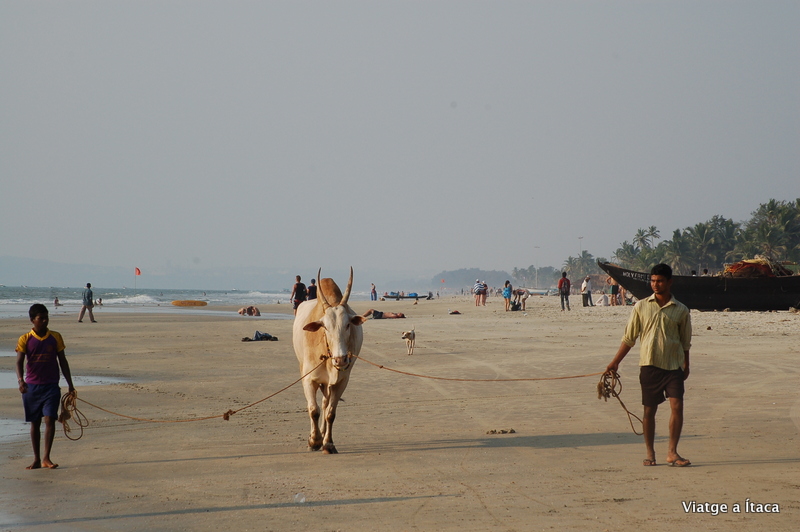 Goa_Benaulim4