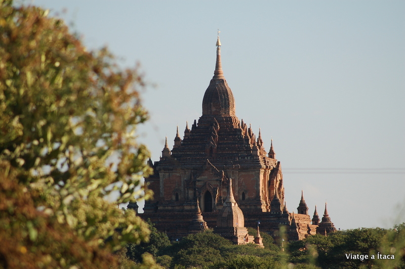 Bagan8