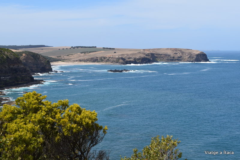CapeSchanck5