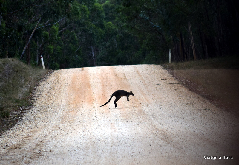 HammondsRoadCamping2