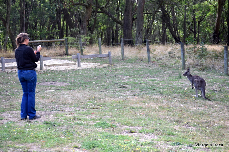 HammondsRoadCamping5