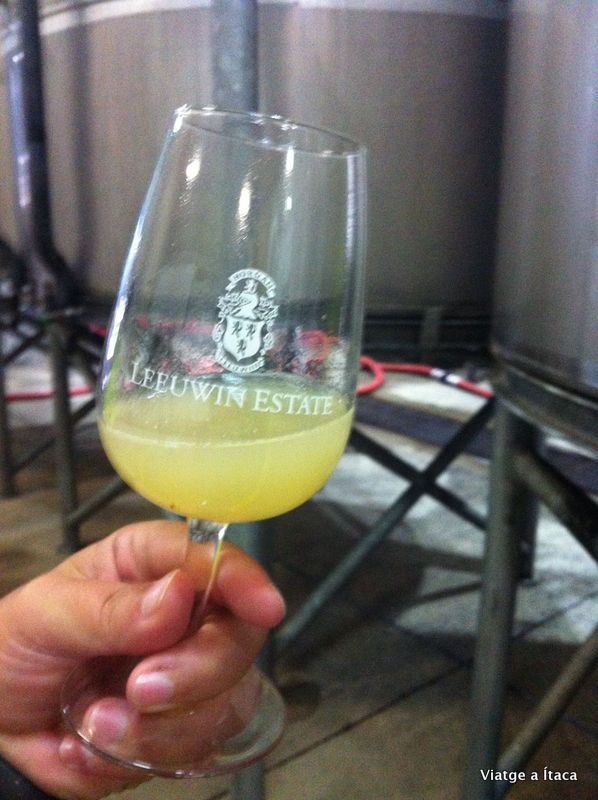 LeeuwinEstate4
