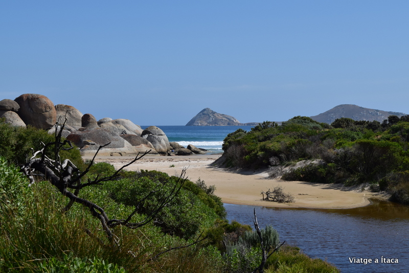 WilsonPromontory14