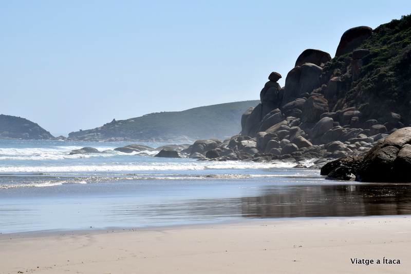 WilsonPromontory15