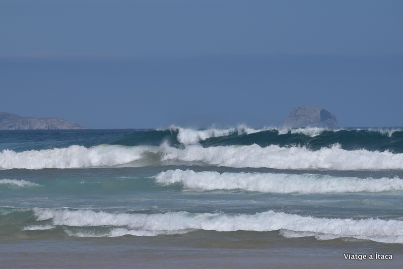 WilsonPromontory9
