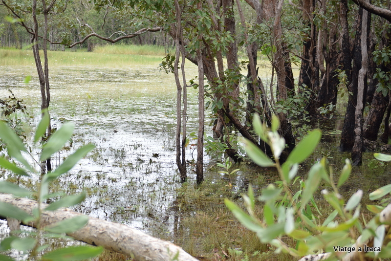 MaryRiver5