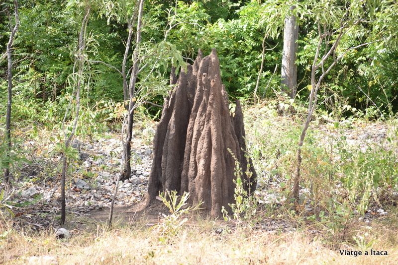 MatarankaThermalPool9