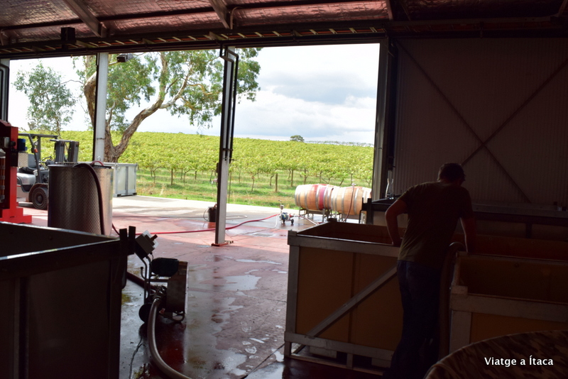 MurrayStreetVineyard