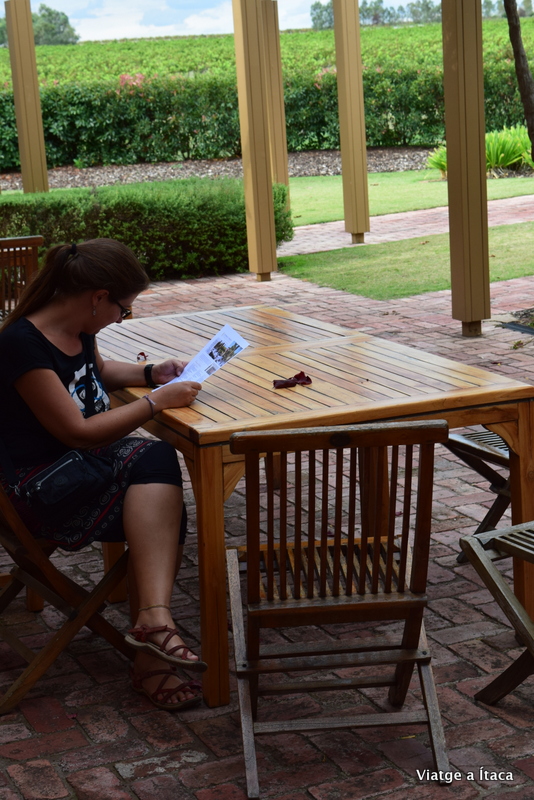 MurrayStreetVineyard3