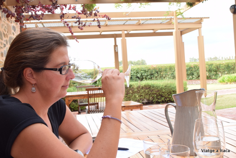 MurrayStreetVineyard4