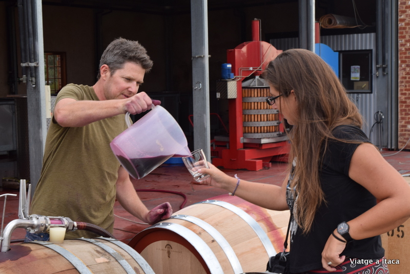 MurrayStreetVineyard5