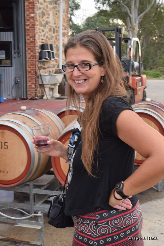 MurrayStreetVineyard6