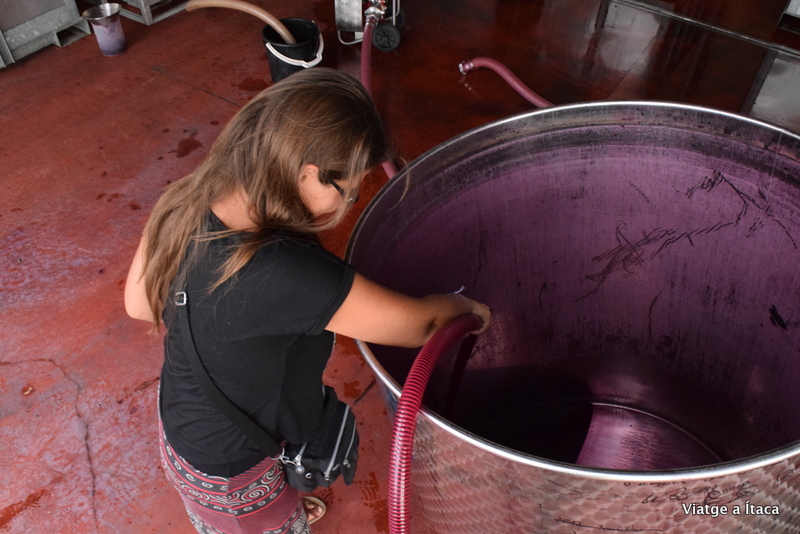 MurrayStreetVineyard7