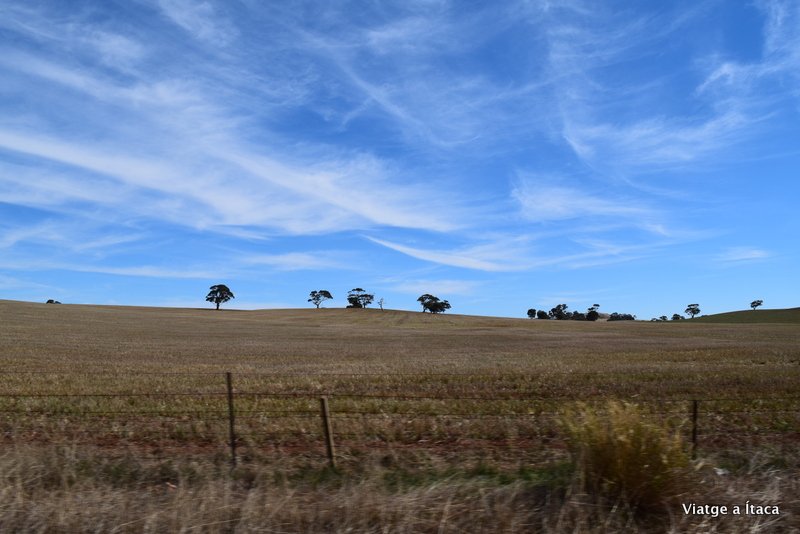 SouthAustralia