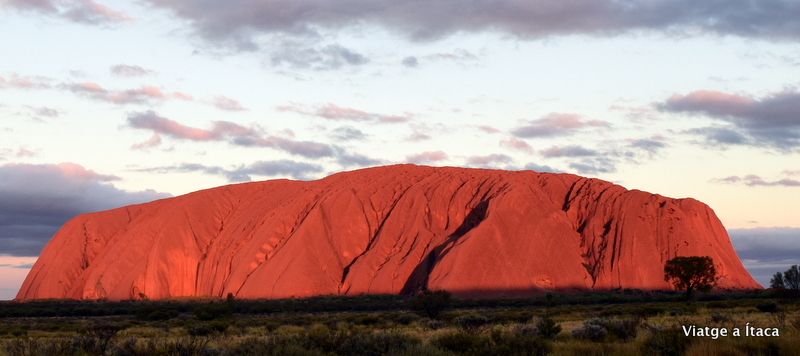 Uluru19