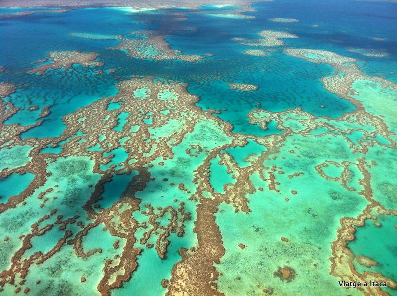 GreatBarrierReef28