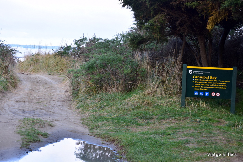 CannibalBay6
