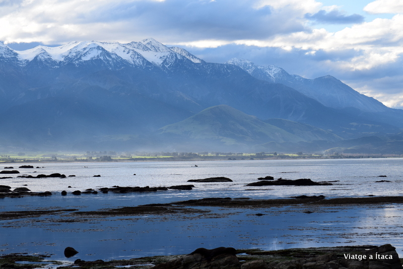 Kaikoura11