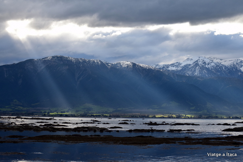 Kaikoura16
