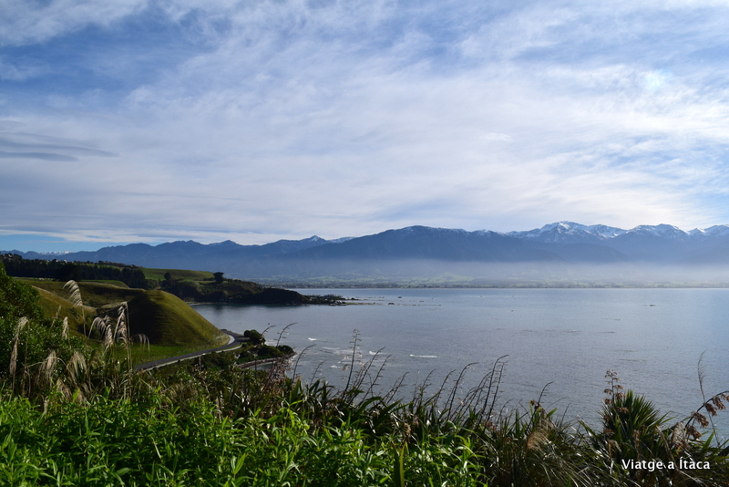 Kaikoura2