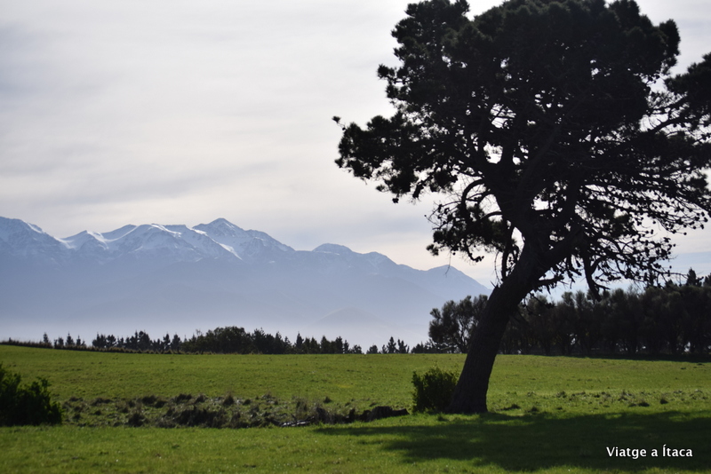 Kaikoura28