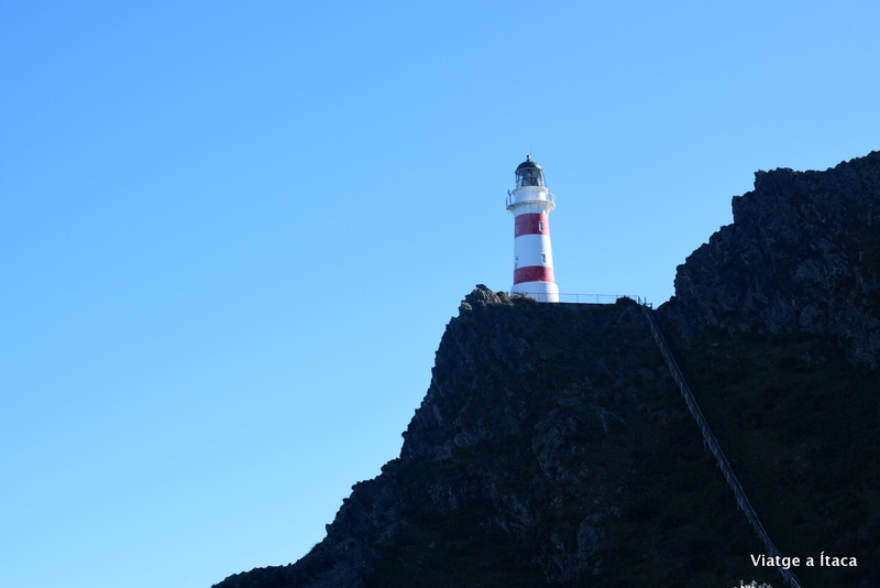 CapePallister7