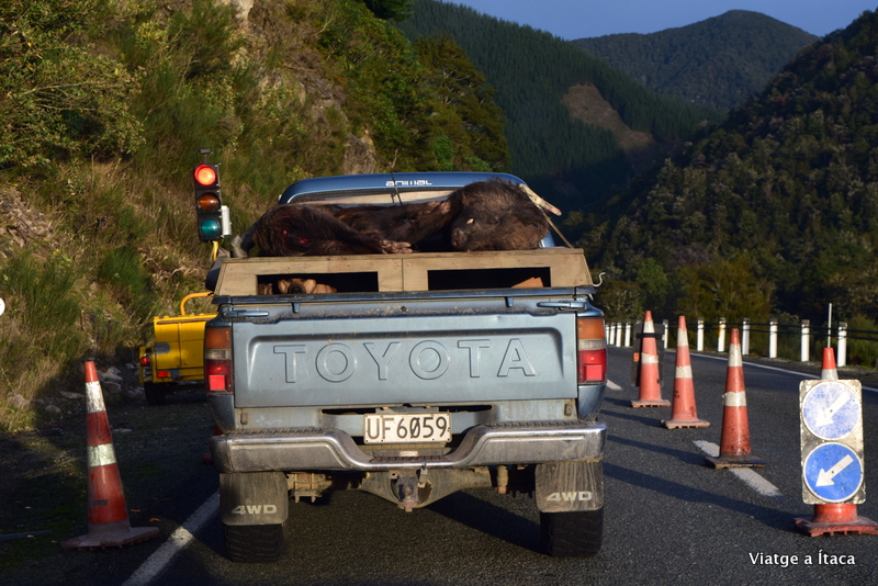 NewZealand