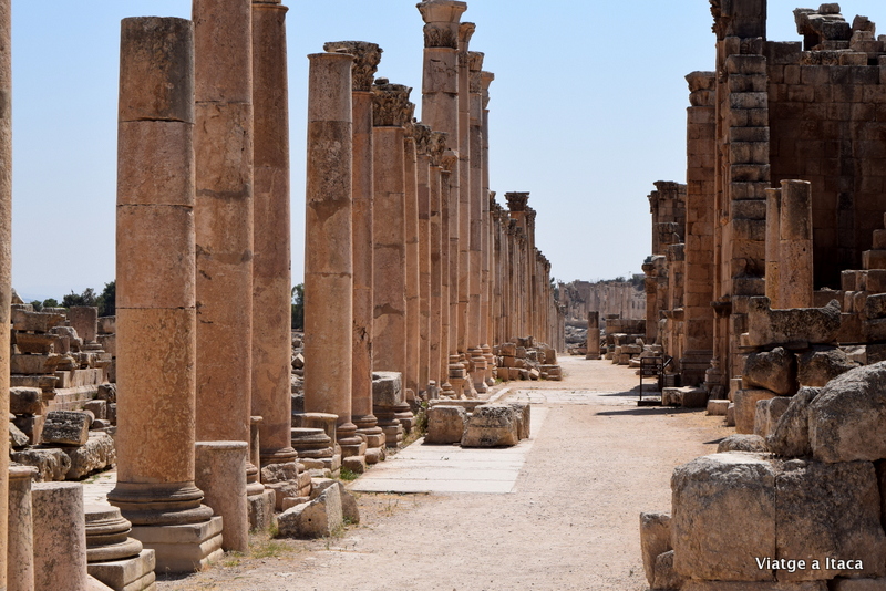 Jerash2