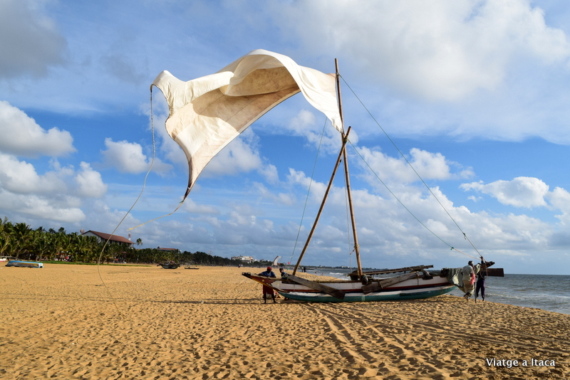 Negombo3