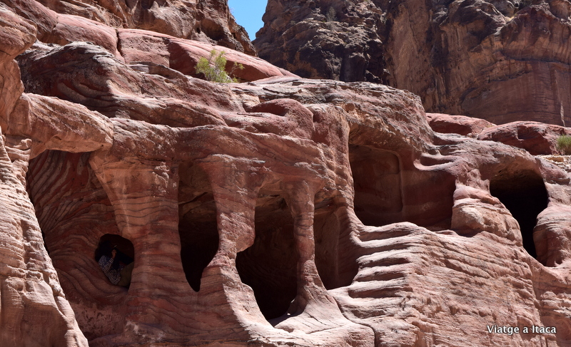 Petra14