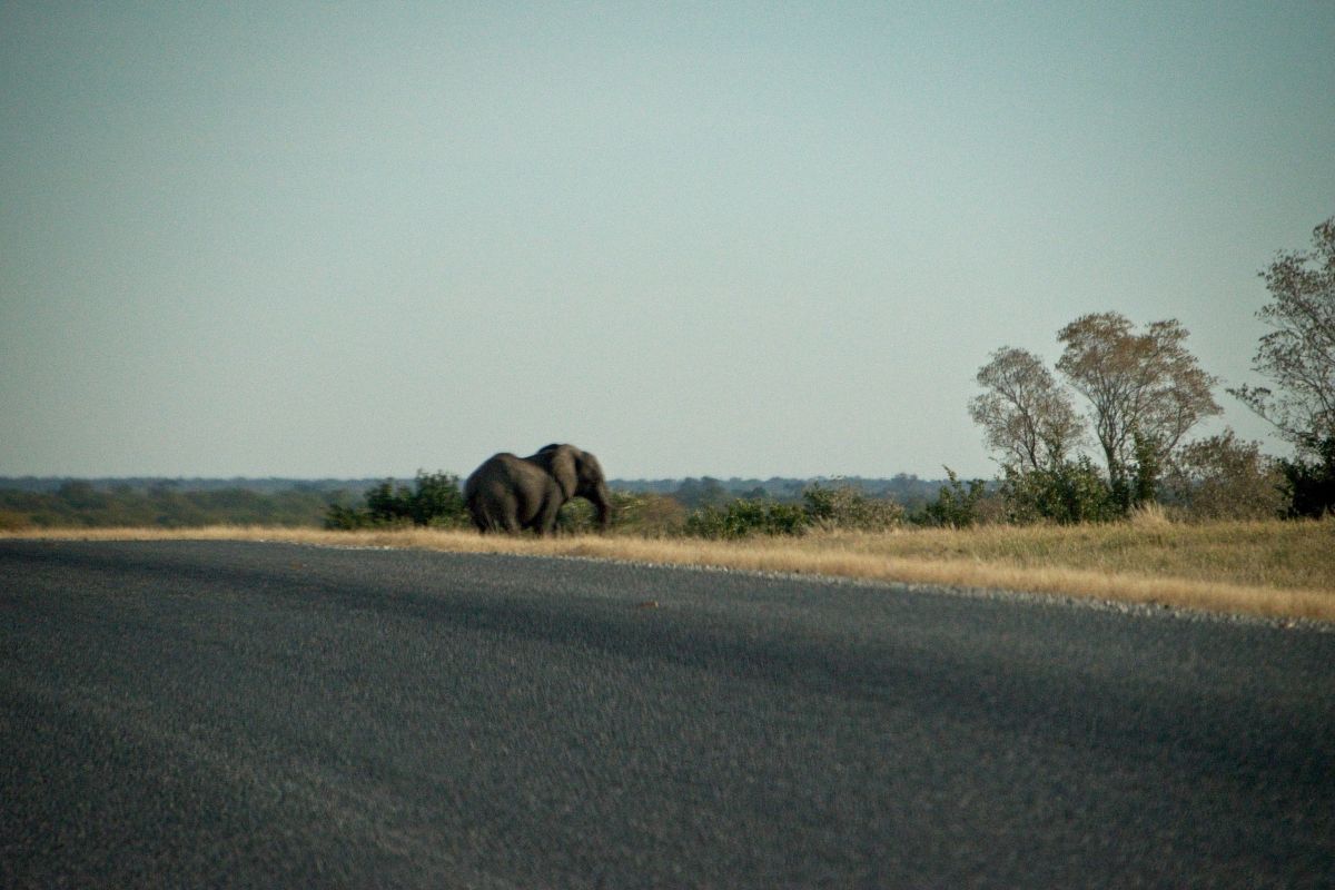 Botswana Highway