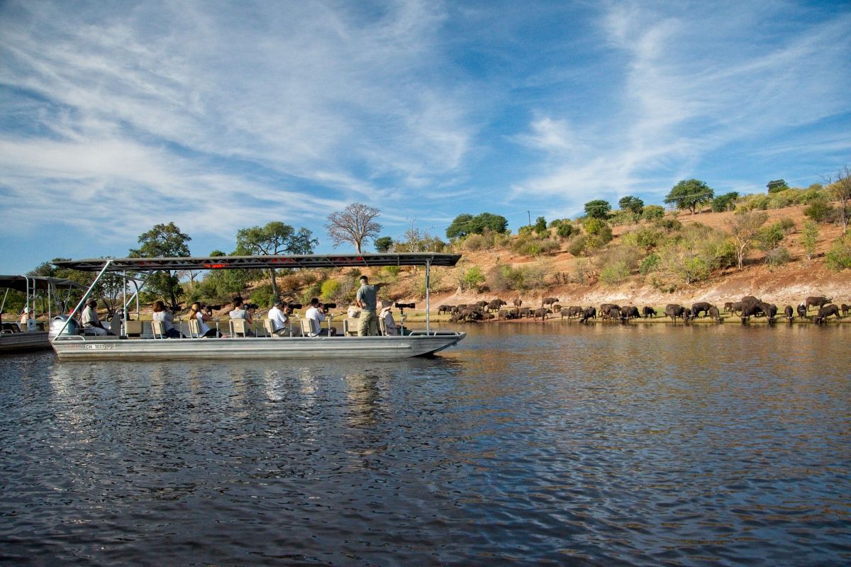 Chobe River Sunset Cruise