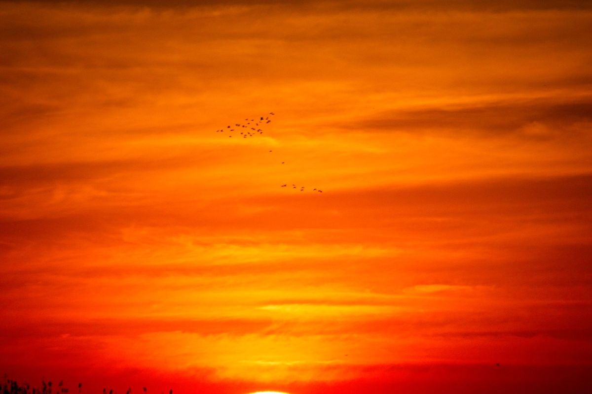 Chobe River Sunset Cruise