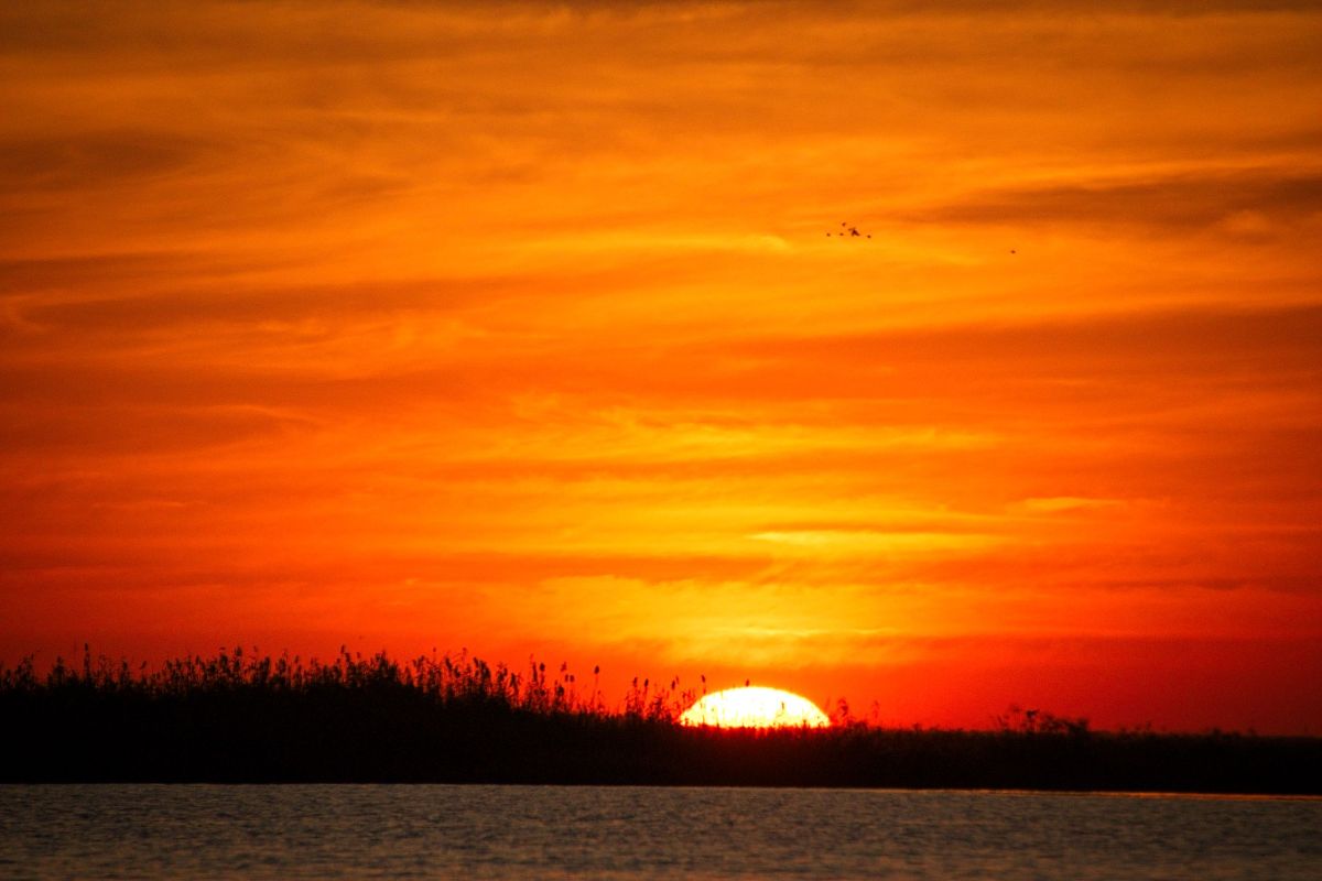 Chobe River Sunset Cruise