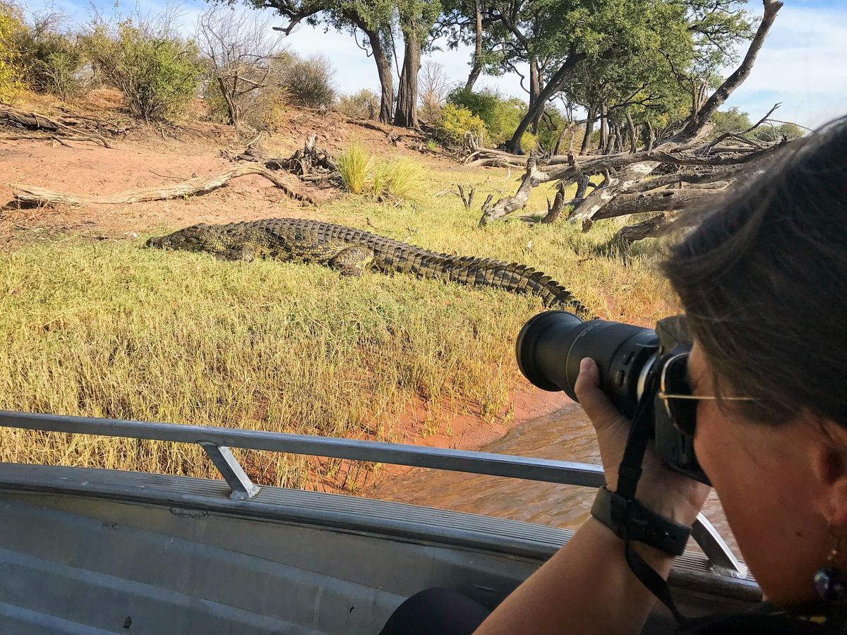 Chobe River Sunset Cruise