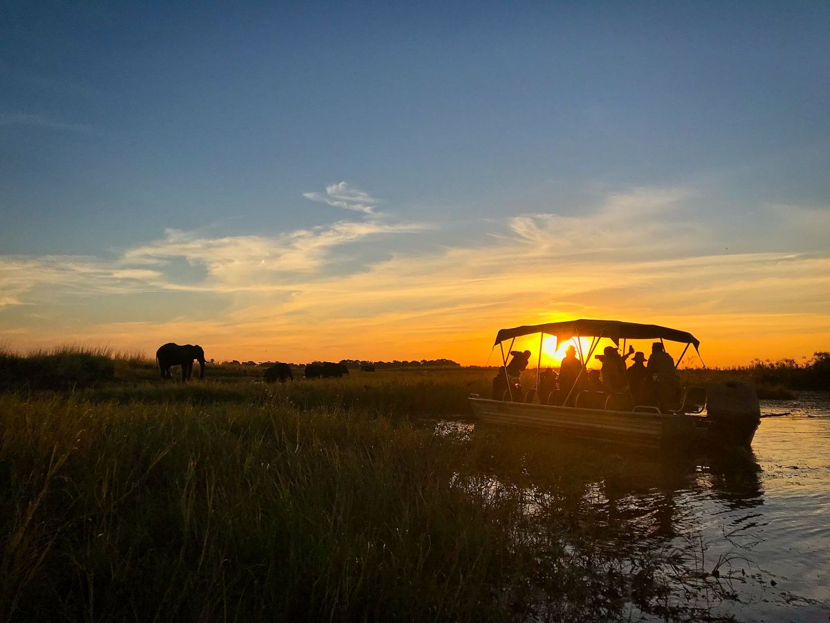 Chobe River Sunset Cruise